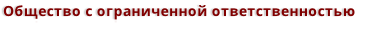 Общество с ограниченной ответственностью